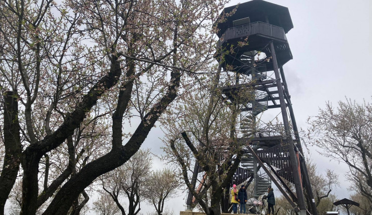 174047986_1632467596962472_7439587437471313157_n