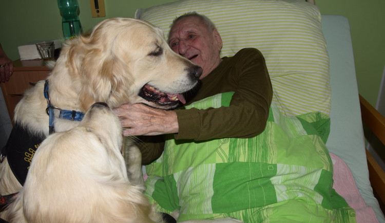 173046992_799233274069112_3269186383712916681_n