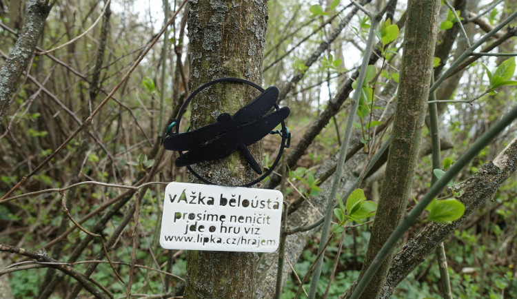 175589894_2923420351223084_3827194760785851990_n