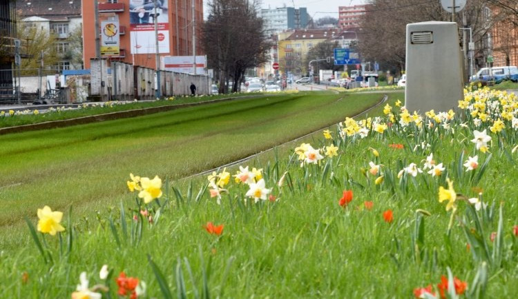 175006494_2924187057863233_4560786172814183894_n