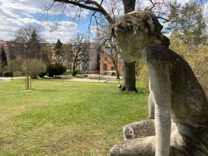 Zahrada Löw-Beerovy vily v Černých polích