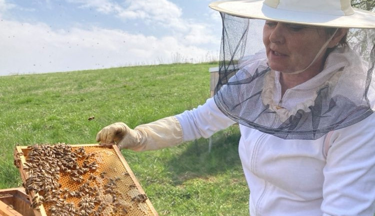 Medu bude letos více, věří jihomoravští včelaři před novou sezonou