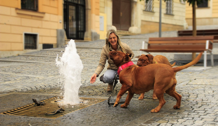 Průměrný věk Jihomoravanů se za poslední tři dekády zvýšil o šest let