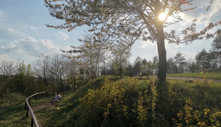 Kam o víkendu? Prozkoumejte neznámý lesopark v Řepích, který nabízí přírodu mezi sídlišti