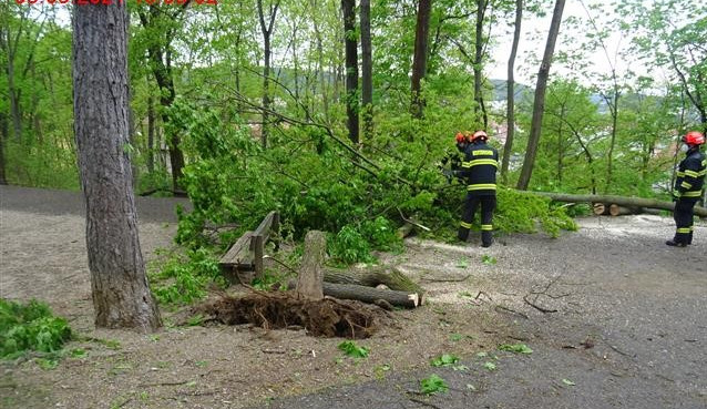 V Brně hrozil pád stromu na dětské hřiště, zasáhli hasiči