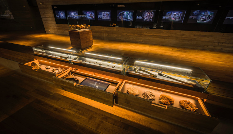 Milovníci kultury se dočkali otevření tamních památek a muzeí