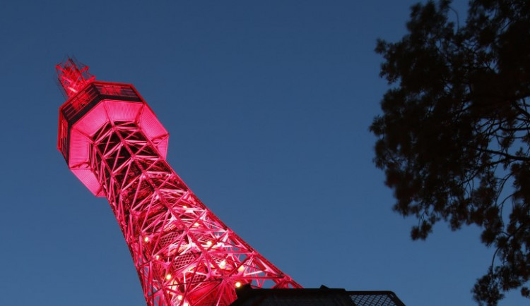 16. květen 2021, mezinárodní vzpomínkový den na oběti AIDS. Vzpomínáme – Bojujeme – Žijeme navzdory HIV