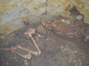 Brněnští archeologové odkryli jihomoravský Řbitov zvířátek