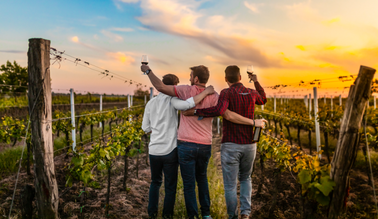 Tisková konference k představení nové očkovací kampaně proti COVID-19