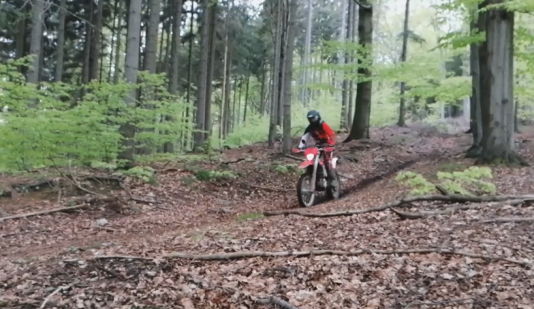 Po jizerskohorských bučinách se proháněli motorkáři. Správa chování ostře kritizuje