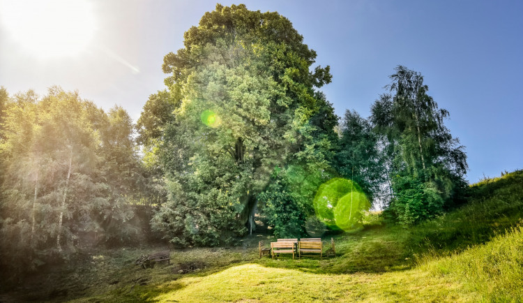 Loňské finalistky Lípy v Hřebenech