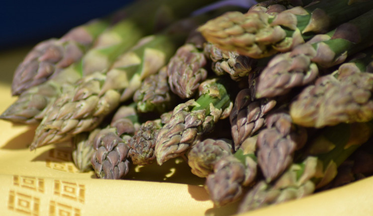 189105416_470218234050046_8945525118239690083_n