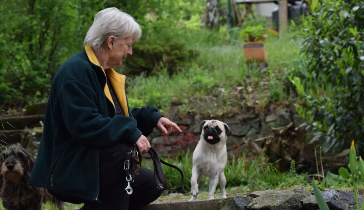 Jana Tošnarová se svými psími svěřenci