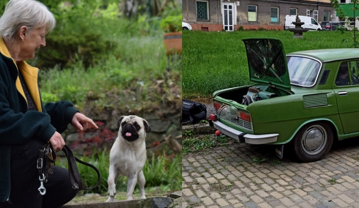 KVĚTEN 2021: Nejstarší psí hotel, pohřešované děti nebo nalezený veterán