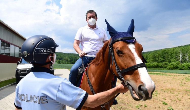 Policejní koně v Brně mají nové tréninkové středisko, zajezdil si i Hamáček