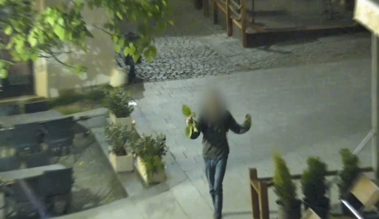 MP_Brno-tanec-s_listim