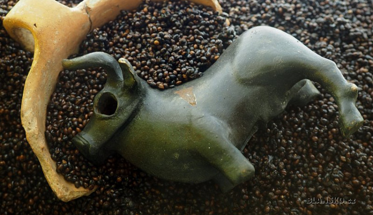 byci-skala-64018-8385_800