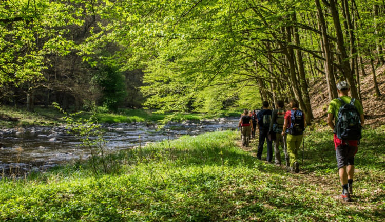 size4-1623424310672-241-klub-ceskych-turistu-udrzuje-pres-40-tisic-kilometru-pesich-tras-chteji-bezbarierove-trasy-v-kazdem-