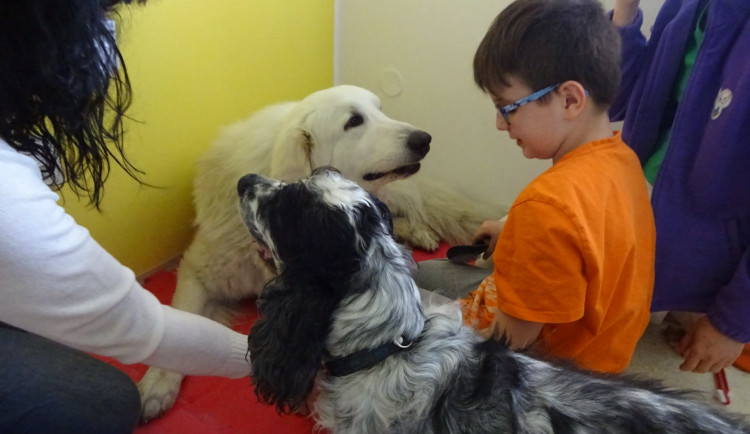 Dětská léčebna pohybových poruch v Boskovicích.