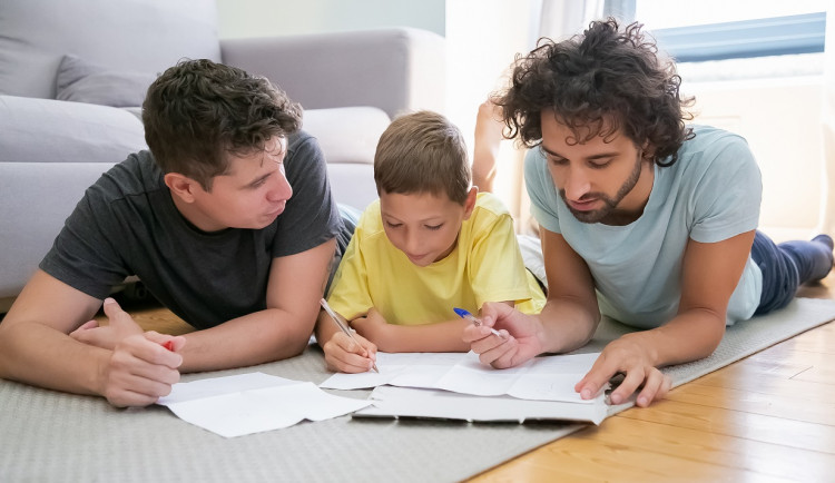 Uznávání cizozemských osvojení u homosexuálů neumožnil ani Nejvyšší soud