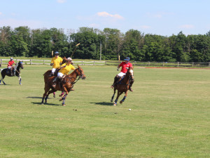 Pólo přestává být sport pro nadšence, nejlepší zázemí v Česku se nachází nedaleko Brna