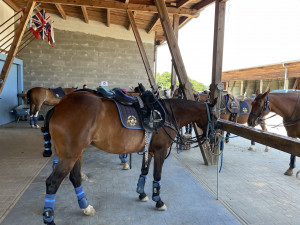 Pólo přestává být sport pro nadšence, nejlepší zázemí v Česku se nachází nedaleko Brna