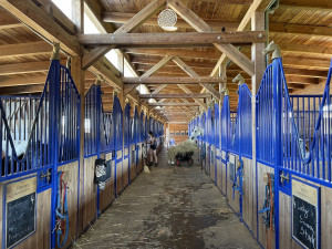 Pólo přestává být sport pro nadšence, nejlepší zázemí v Česku se nachází nedaleko Brna