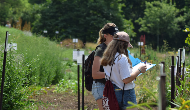 Centrum léčivých rostlin v Brně je opět otevřené pro veřejnost. Objevil se v ní i unikátní škůdce