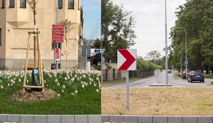 Ze zeleného kruháče suchý plac. Z brněnského objezdu zmizely stromy i kvítí