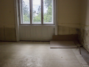 Arnoldovu vilu čeká záchrana, stane se brněnským centrem architektury