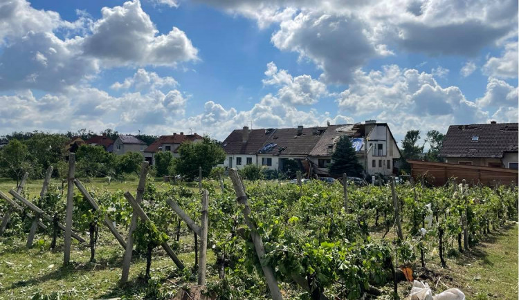 Jihomoravští vinaři sčítají škody po tornádu. Lidé na podporu kupují jejich vína
