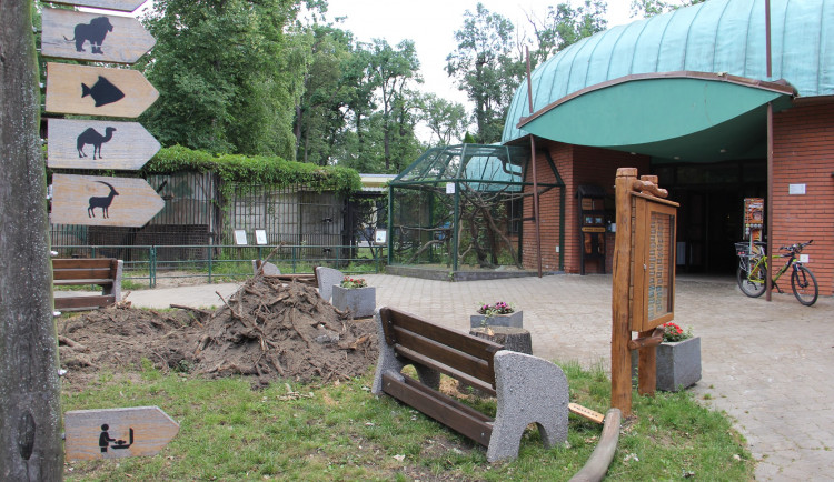 Zoo Hodonín otevře, až skončí likvidace škod na sídlišti Bažantnice