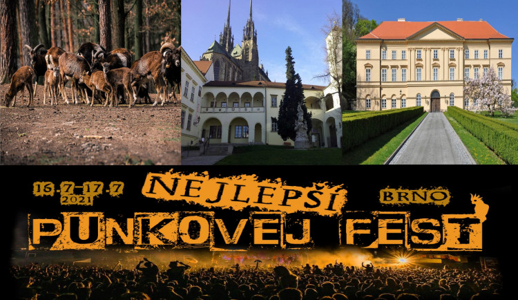 Kam o víkendu? Na festival, do muzea i za vínem do otevřených sklepů