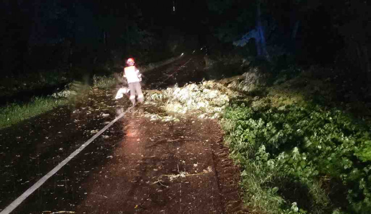 Jihomoravští hasiči kvůli bouřkám zasahovali u stovky událostí, hlavně u stromů