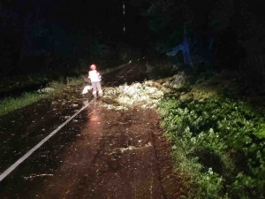 Jihomoravští hasiči kvůli bouřkám zasahovali u stovky událostí, hlavně u stromů