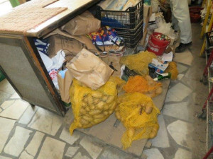 Inspektoři zavřeli prodejnu potravin v Brně, našli hmyz a plíseň