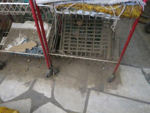 Inspektoři zavřeli prodejnu potravin v Brně, našli hmyz a plíseň