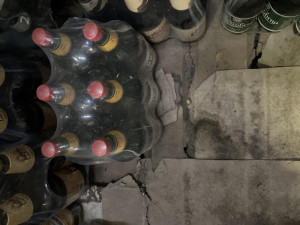 Inspektory přivítaly v jihomoravské večerce myši