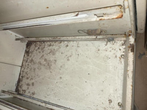 Inspektory přivítaly v jihomoravské večerce myši