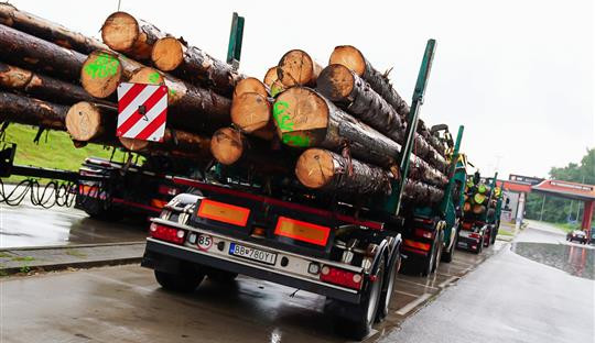 Dřevo na opravu školy zasažené tornádem daroval Trnavský kraj