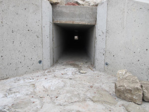 Vydry i lišky se naučily používat bezpečné tunely pod silnicí