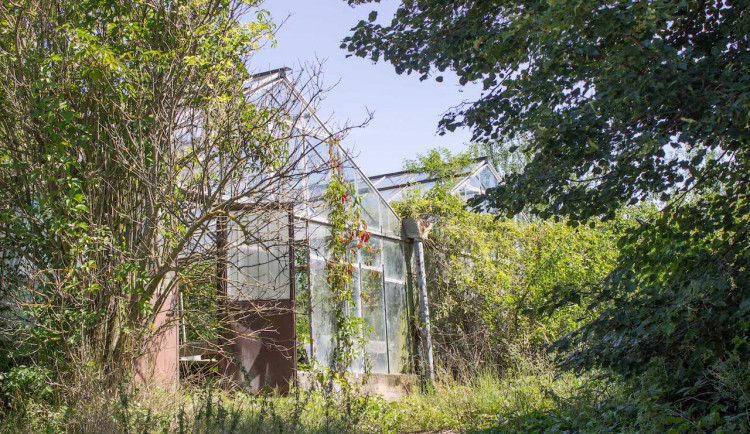 Před deseti lety zavřeli zahradnickou školu v Brně. Pozemky se prodaly a chátrají
