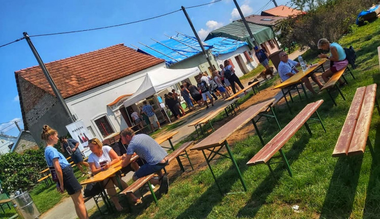 Otevřené sklepy v Mikulčicích.