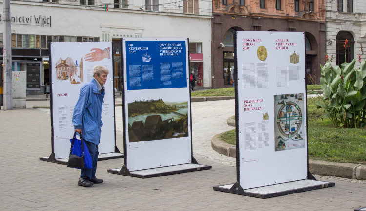 Výstava Záhadné pouto.