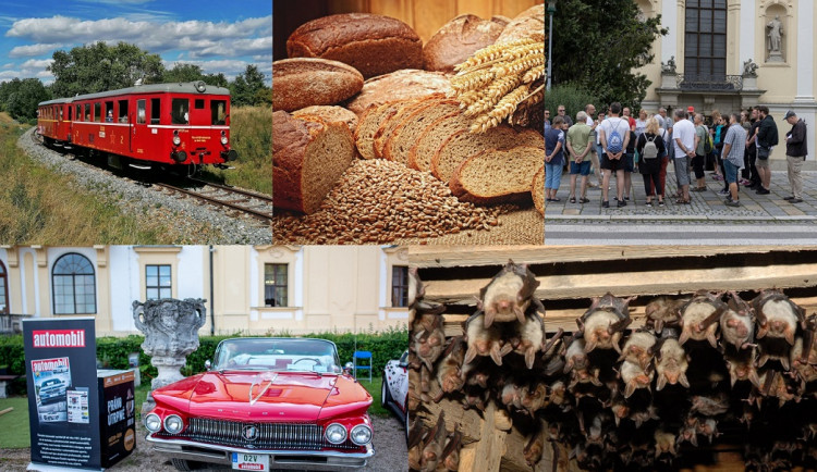 Kam o víkendu? Za netopýry, na motoráček i autentickou prohlídku