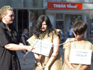 V Brně prodávali na náměstí aktivisty