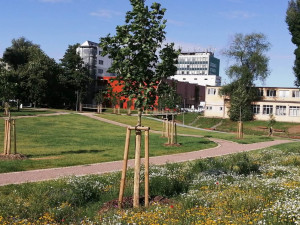 Nový park v Komárově získá jméno v anketě. Navrhovat můžete od září