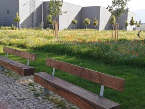 Nový park v Komárově získá jméno v anketě. Navrhovat můžete od září