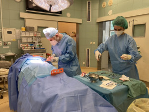 Lékaři z Brna použijí 3D model srdce pro přípravu na zákroky