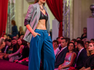 Brno opět ožilo s Show and the City. Pomohlo nemocné Nikolce a papouškům v nouzi